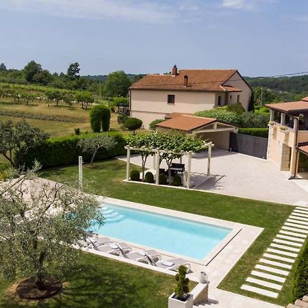 Villa Viscum In Central Istria For 8 Persons With Large Garden - Pet Friendly Pazin Exterior photo