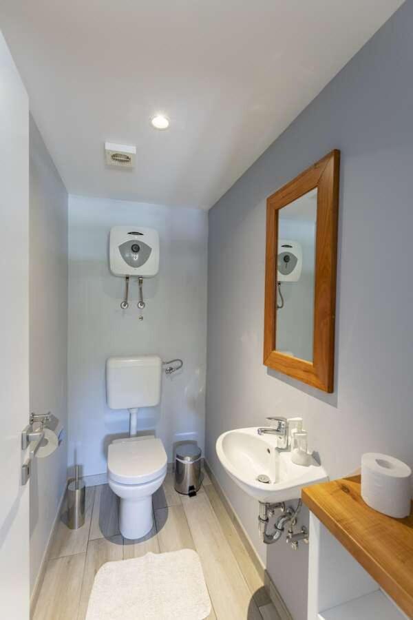 Villa Viscum In Central Istria For 8 Persons With Large Garden - Pet Friendly Pazin Exterior photo